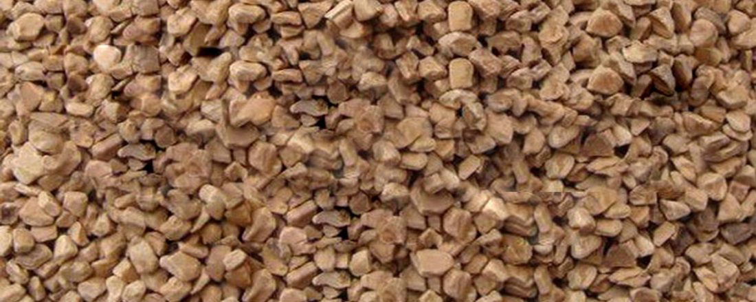 Dry Walnut Exporters