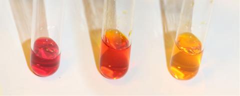 Methyl Red Indicator Solution | Methyl red test |Suppliers and Manufacturers